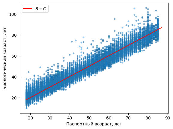 Биологический возраст, оцененный на основе риска смерти от всех причин. Красная линия показывает точки, где биовозраст равен паспортному.