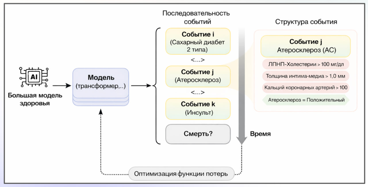 Принцип работы и обучения большой модели здоровья  