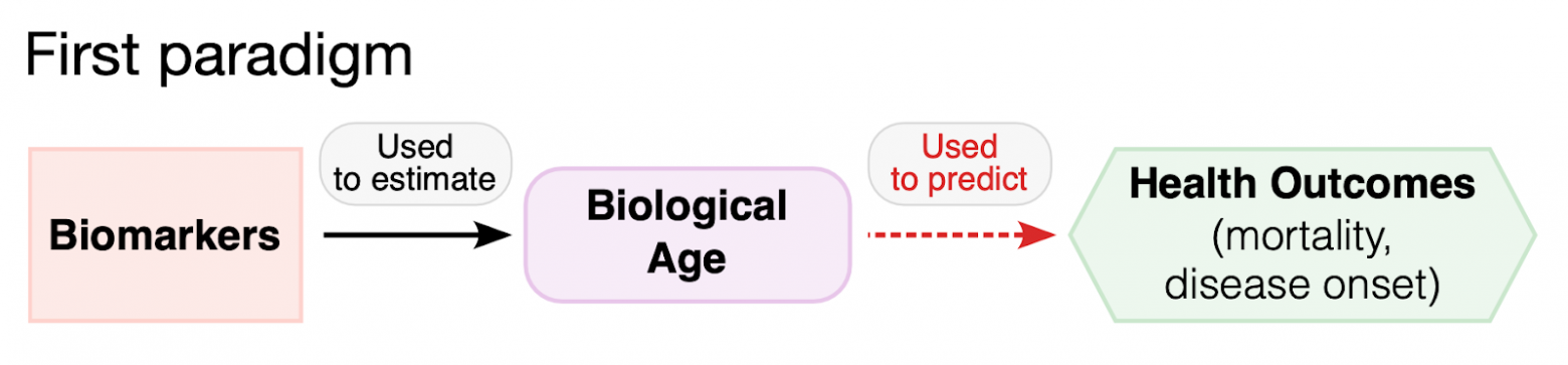 Рассчитать биологический возраст? Можно, а зачем? - 9 Рассчитать биологический возраст? Можно, а зачем? - 9
