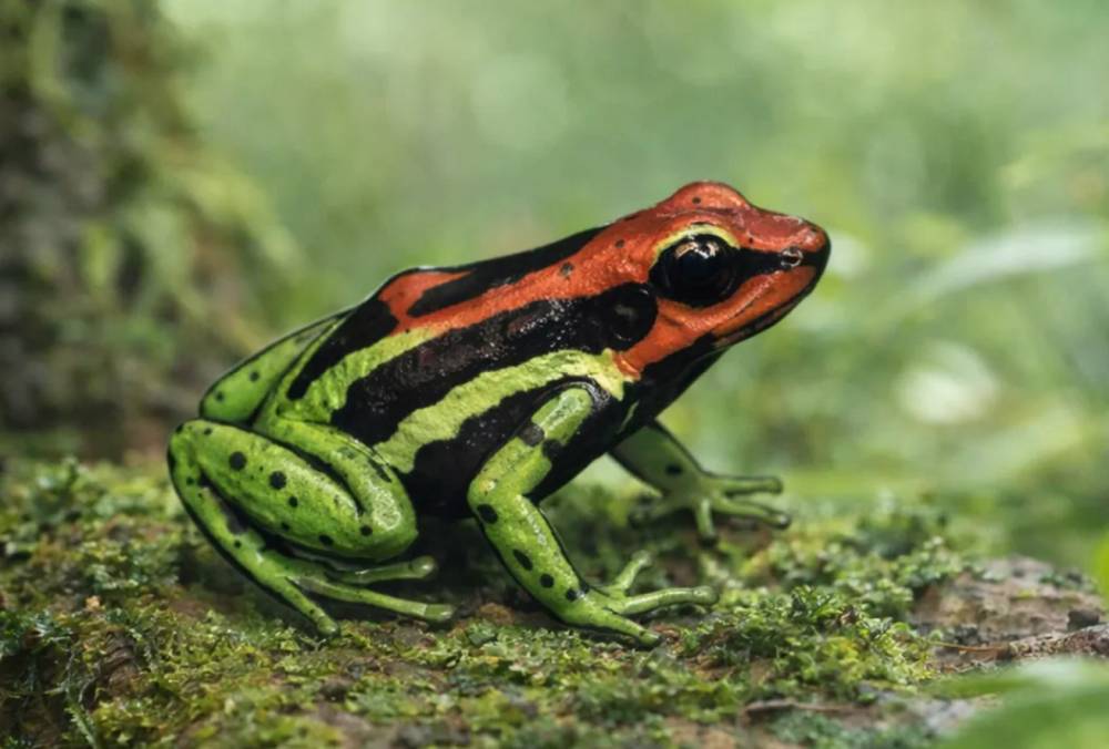 Руками лучше не трогать