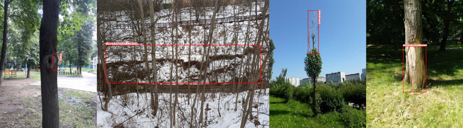 Рис. 6. Вот такие результаты получили