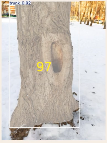 Рис. 8. Визуализация