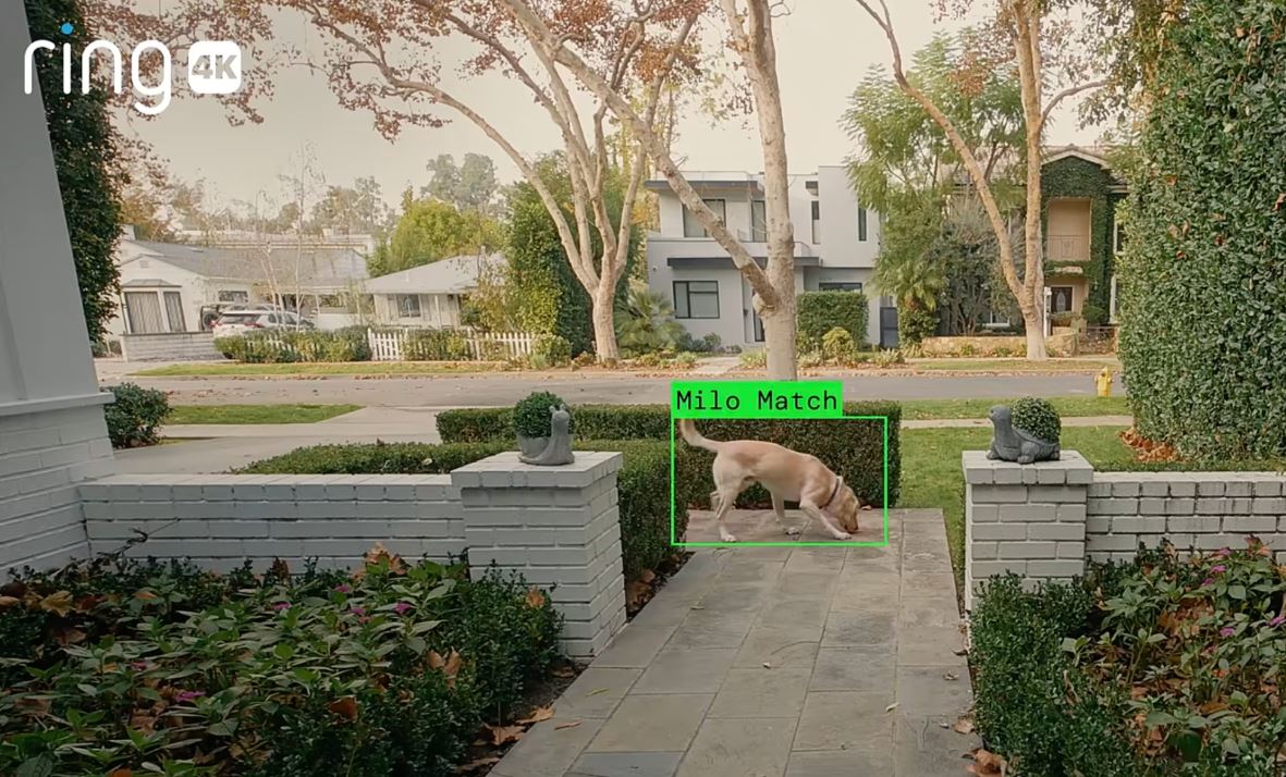 С помощью камер Ring американские потребители создали сеть для слежки - 1 С помощью камер Ring американские потребители создали сеть для слежки - 1