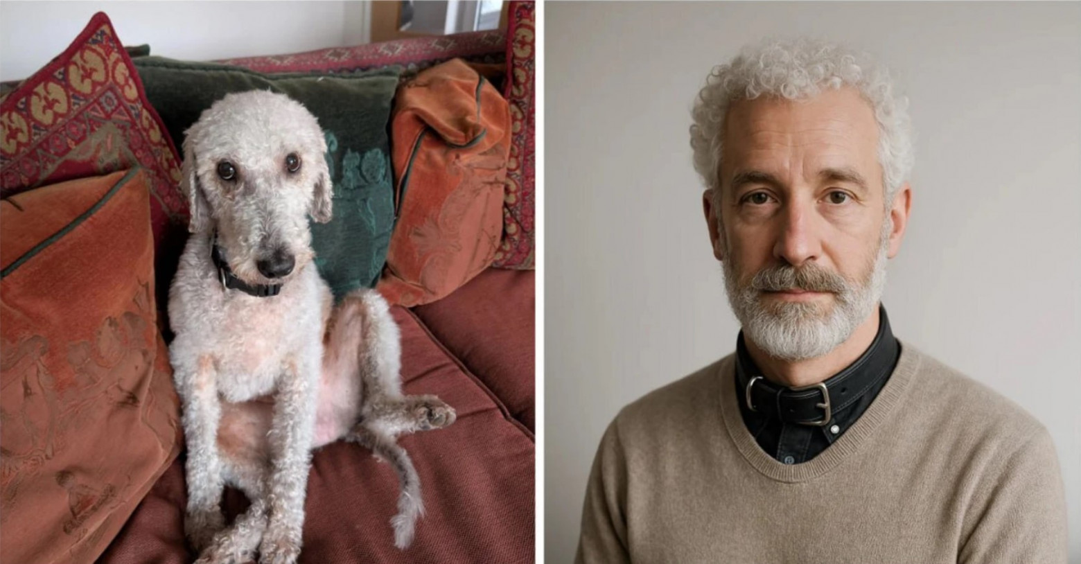 Как нейросеть превращает животных в людей: превратить питомца в человека через ИИ - 4