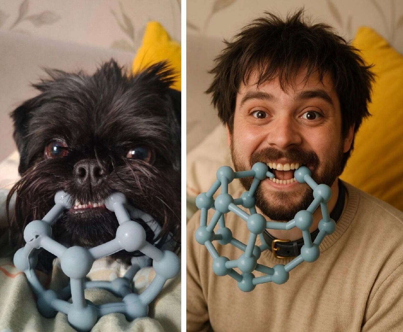 Как выглядел бы ваш питомец, если бы был человеком?