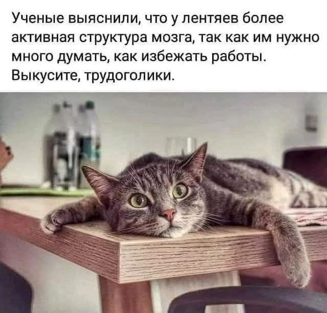 Как отдыхать, чтобы быть счастливым и продуктивным? - 11