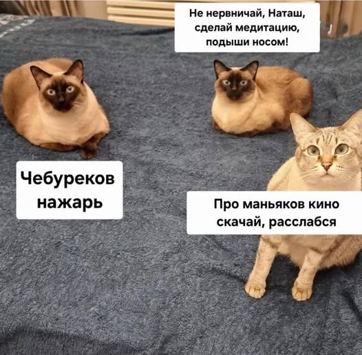 Как отдыхать, чтобы быть счастливым и продуктивным? - 16