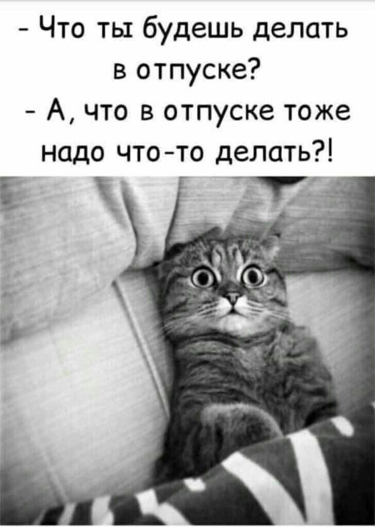 Как отдыхать, чтобы быть счастливым и продуктивным? - 19