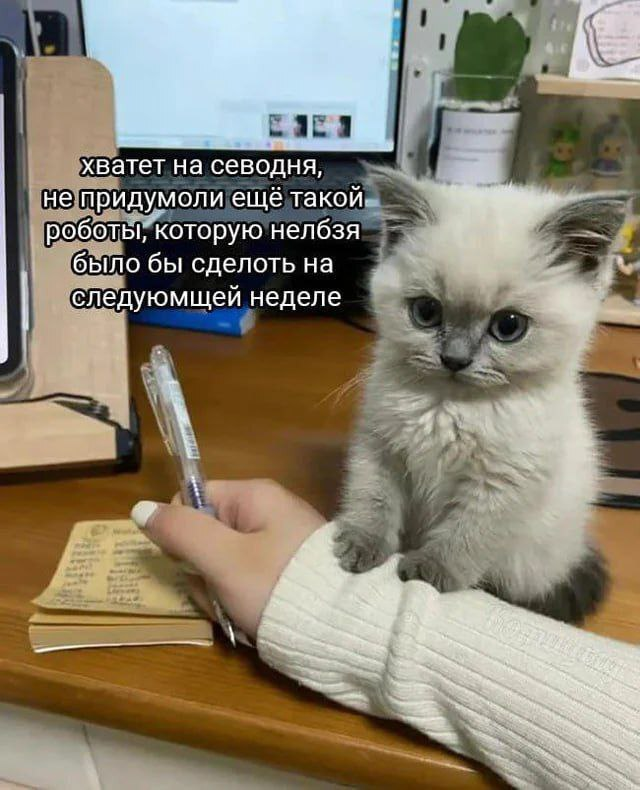 Хватет! Схомди покушоць!