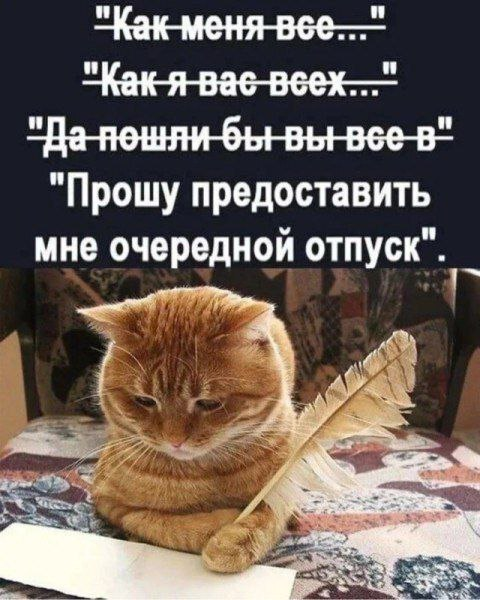 Как отдыхать, чтобы быть счастливым и продуктивным? - 20