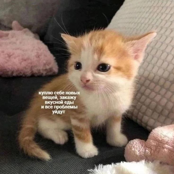 Как отдыхать, чтобы быть счастливым и продуктивным? - 21