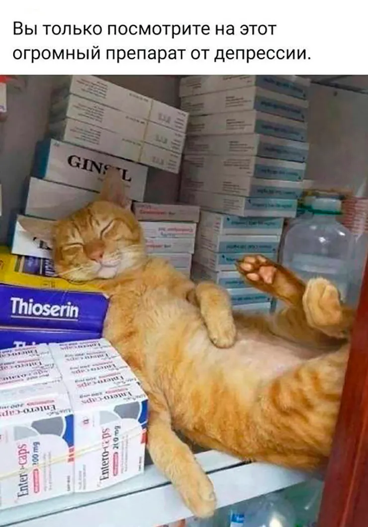 Как отдыхать, чтобы быть счастливым и продуктивным? - 7