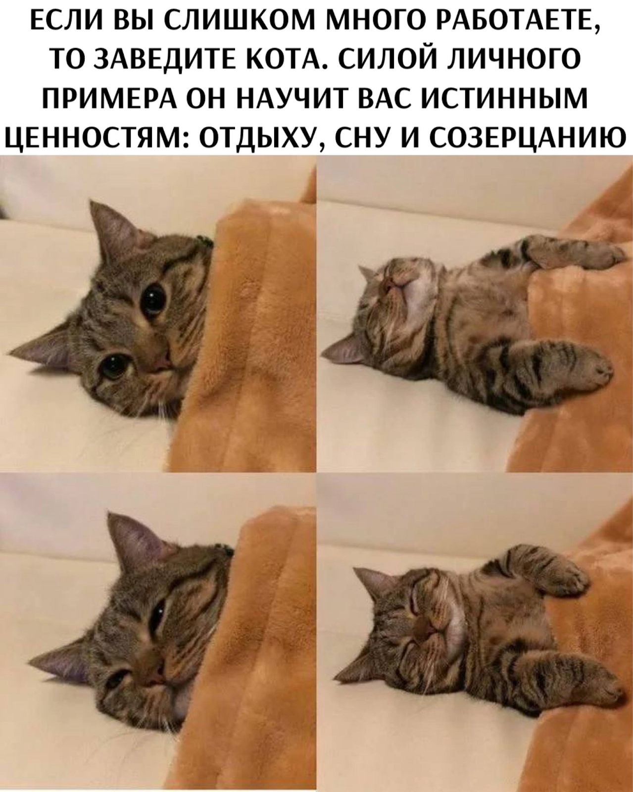 Как отдыхать, чтобы быть счастливым и продуктивным? - 9