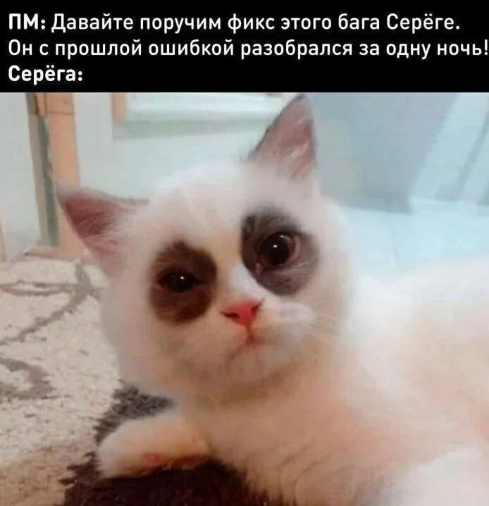 Не будь Серёгой!