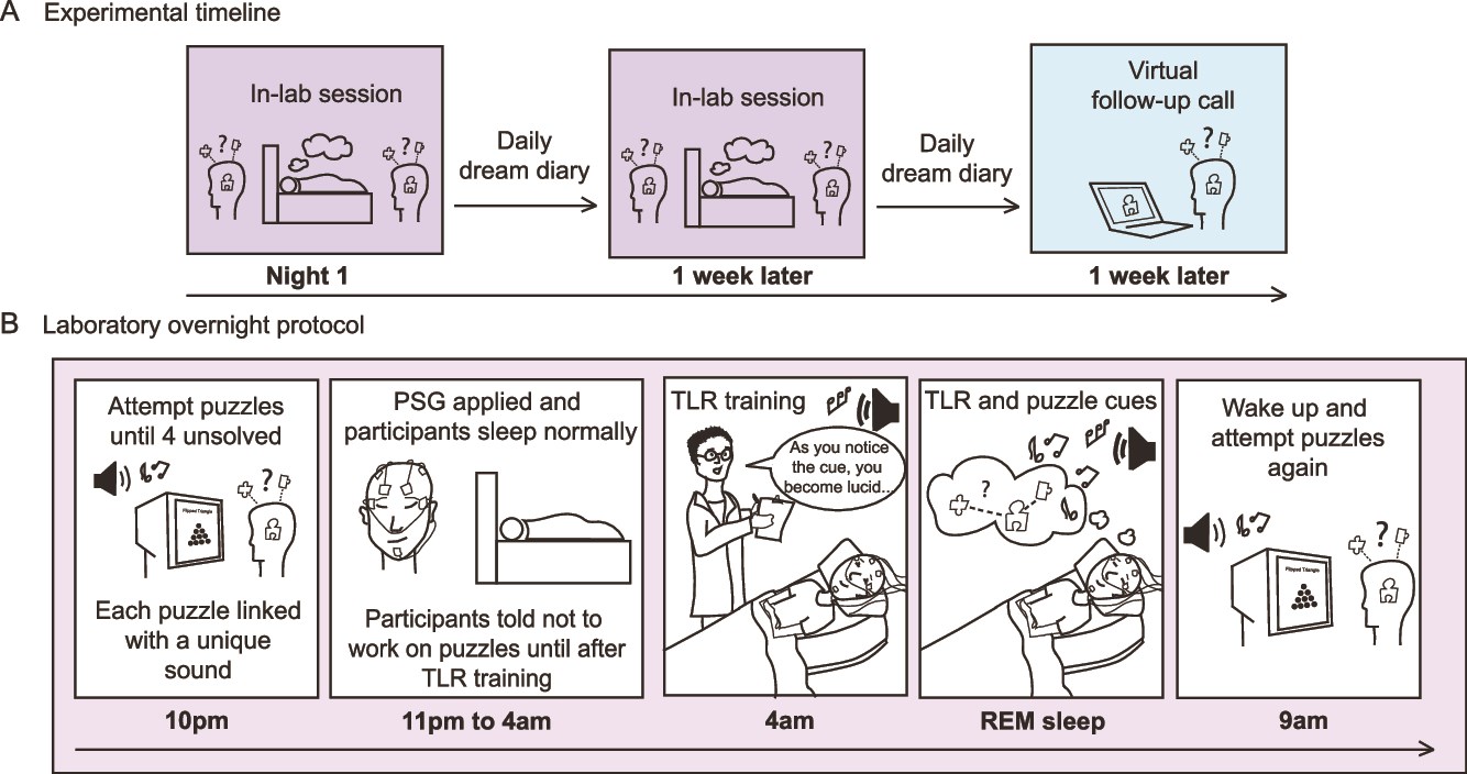 Поиск решения задачи во сне - 2