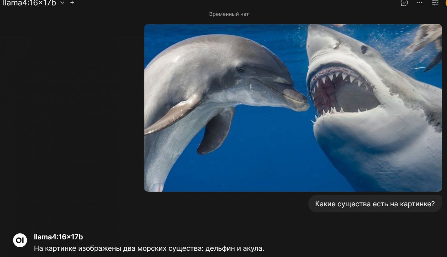 Распознавание изображений локальными LLM - 2