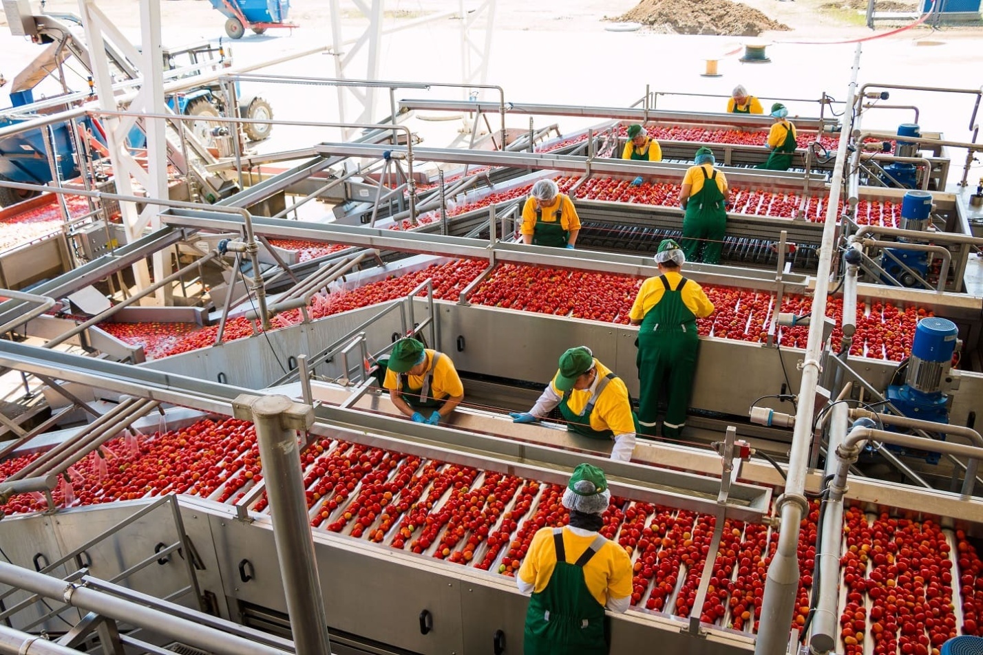 Аннушка уже разлила масло - 12