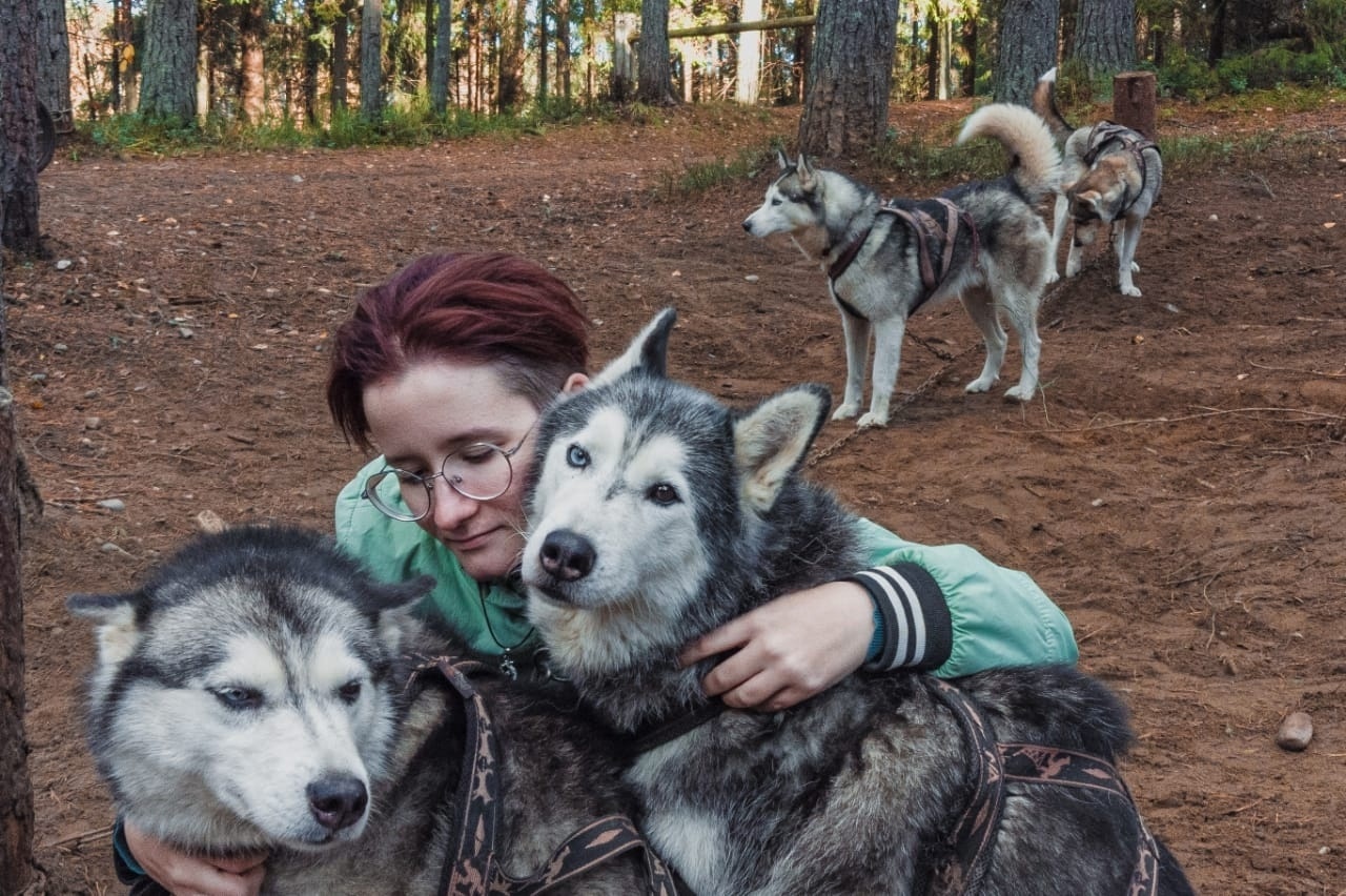 Нельзя завести хаски и ждать бесконечной привязанности, они склонны к побегам