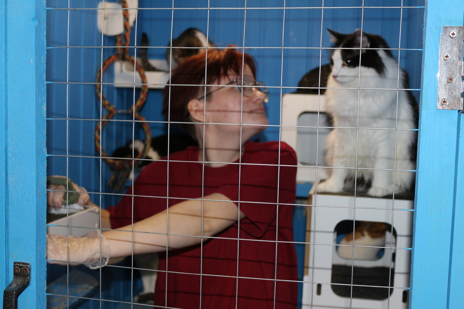 Первая встреча с моим любимым котом, он лапки мне на плечи ставил дабы я на него обернулась