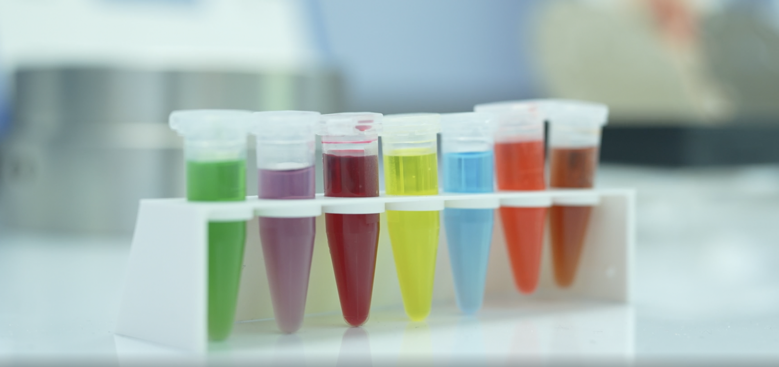 На IV Форуме будущих технологий обсудили нацпроект по биоэкономике: от «стоимости калории» до фотонных сопроцессоров - 4