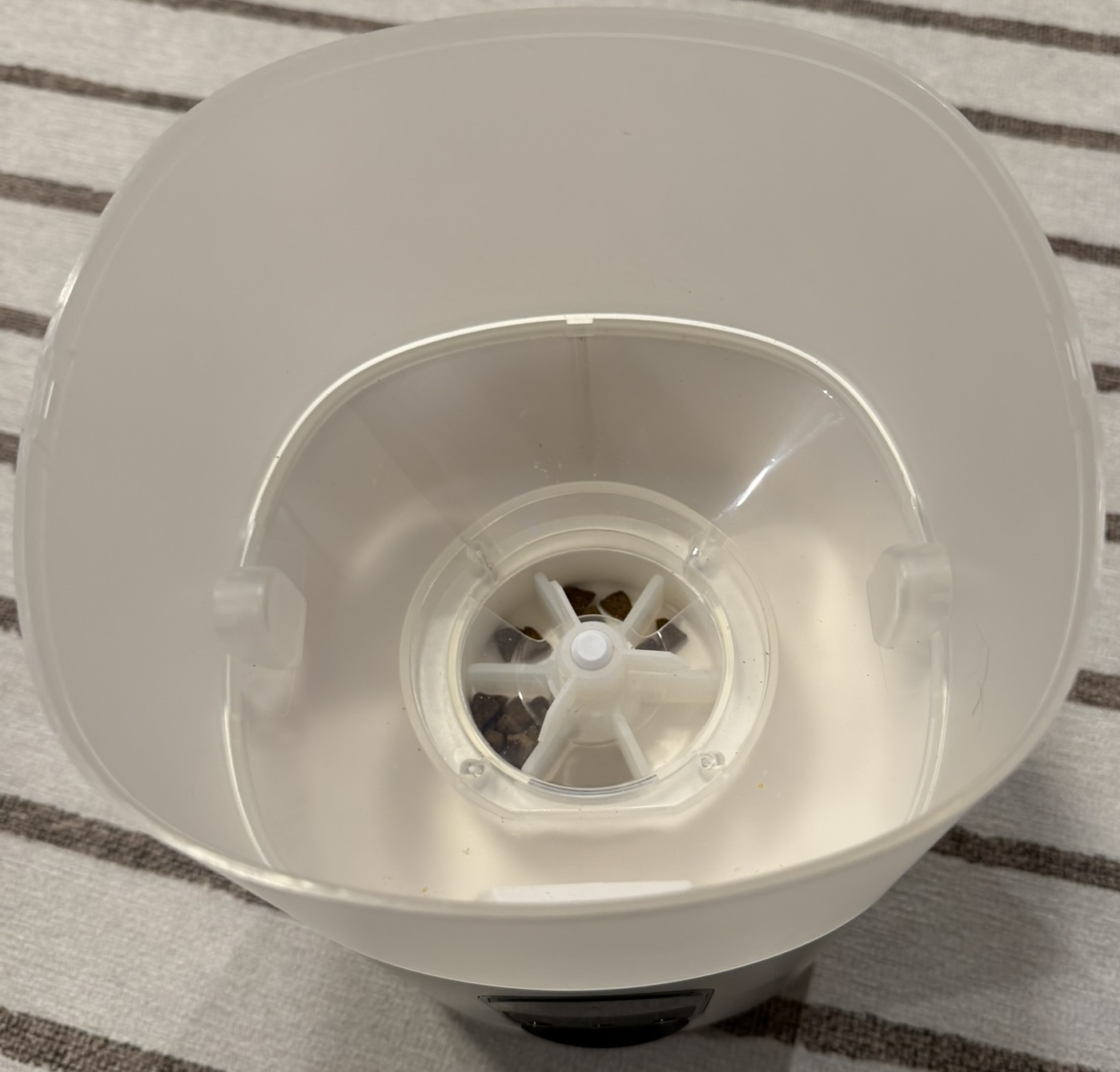 Я научил свою собаку играть в Vibe Code Games - 5 Я научил свою собаку играть в Vibe Code Games - 5