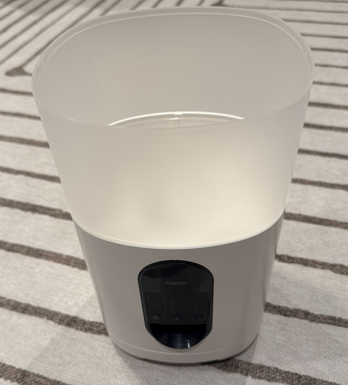 Я научил свою собаку играть в Vibe Code Games - 6 Я научил свою собаку играть в Vibe Code Games - 6