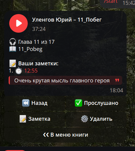 Как слушать аудиокниги в Telegram без боли: история создания идеального облачного плеера на Python - 3