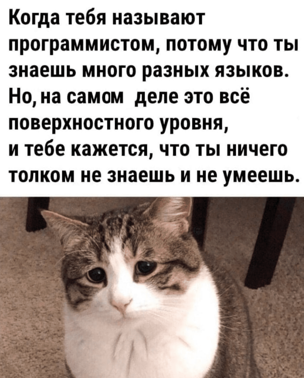 Джун, который знает всё, или почему Senior пишет простой код: как я пишу ВКР по грейдированию программистов - 7