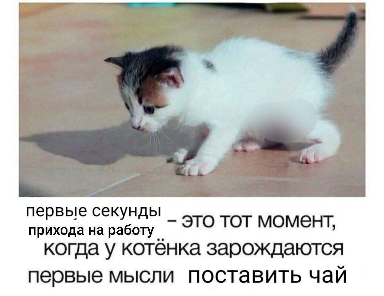 Рабочие привычки, которые кажутся полезными, но на самом деле мешают - 1