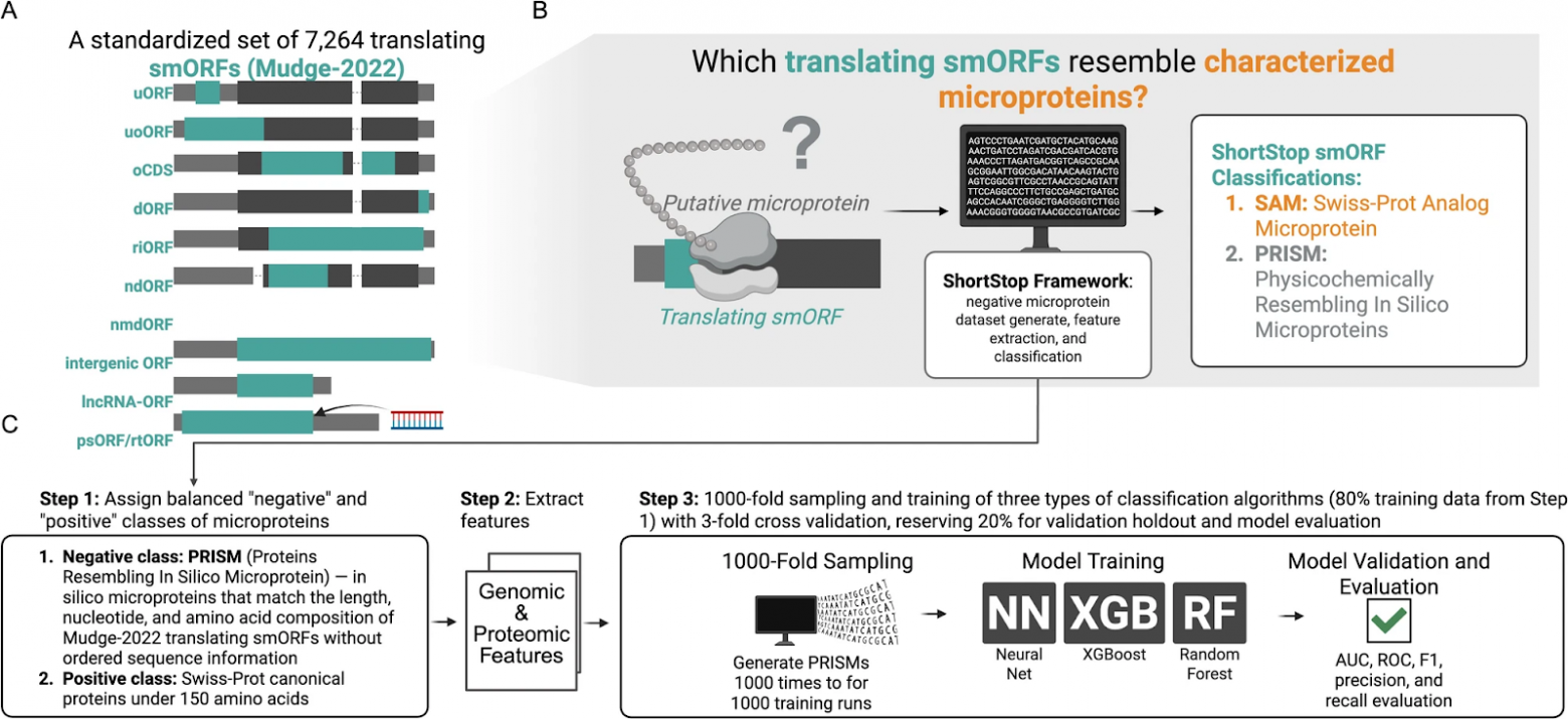 Фреймворк классификатора