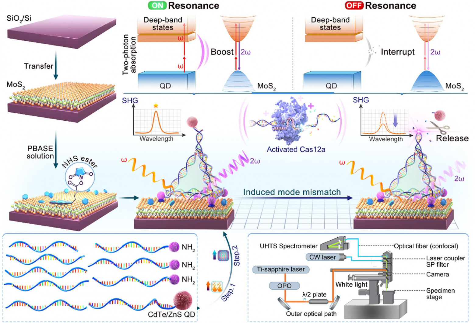 Тест крови для ранней диагностики онкологии - 2