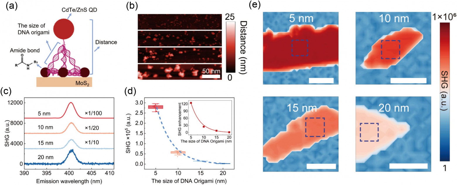 Тест крови для ранней диагностики онкологии - 4