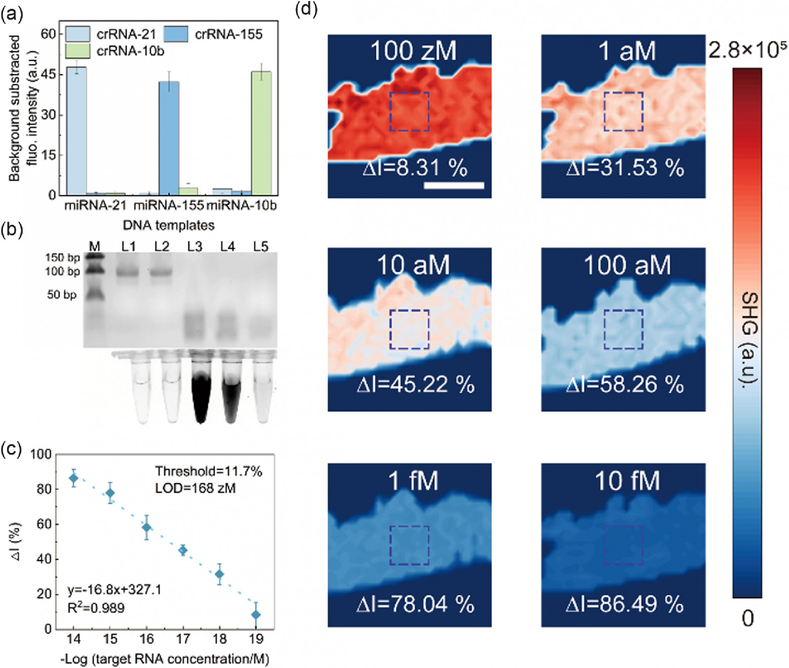 Тест крови для ранней диагностики онкологии - 5