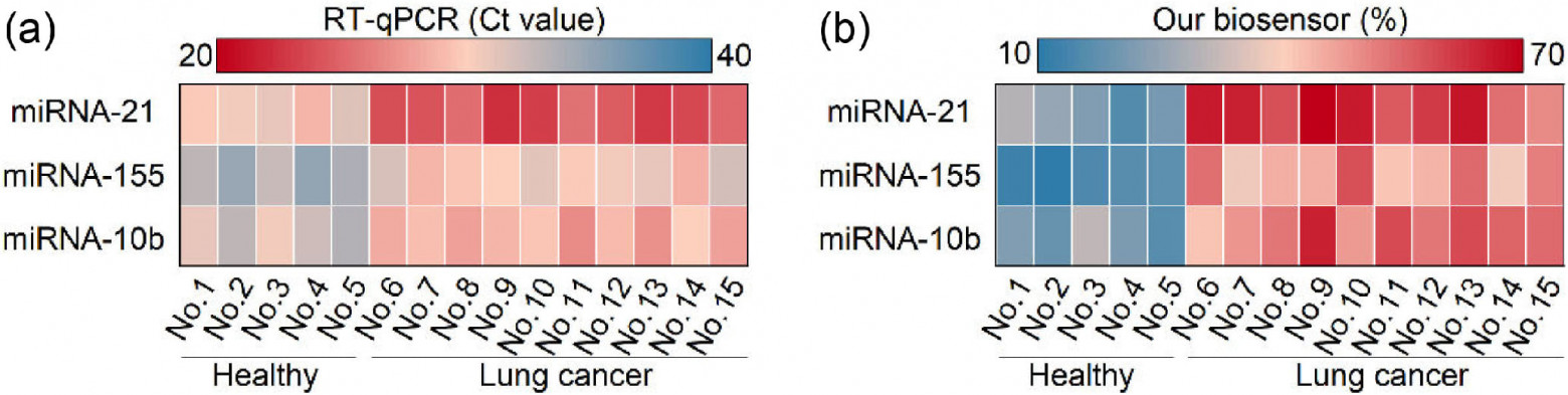 Тест крови для ранней диагностики онкологии - 6