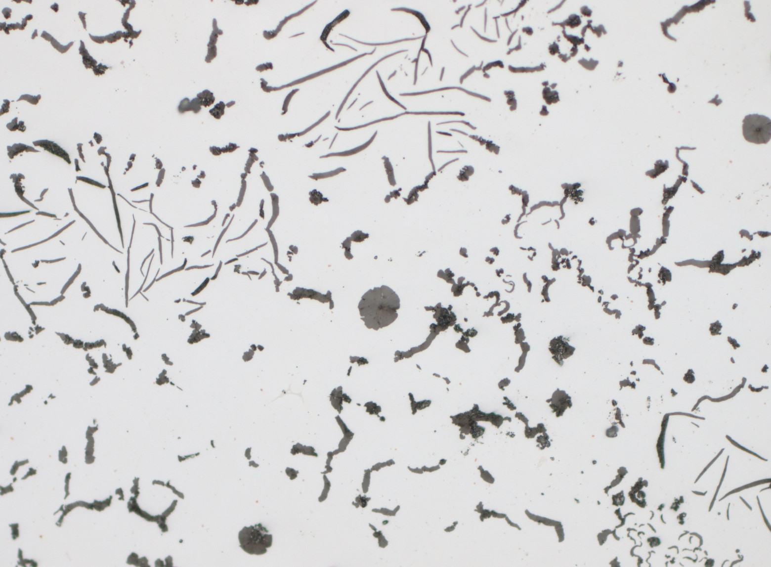Автоматизированный анализ графита по ISO 945: архитектура и инженерная реализация модуля - 5