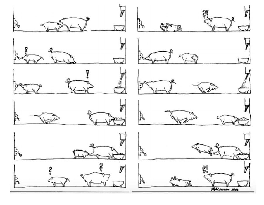 Искусство научной иллюстрации  