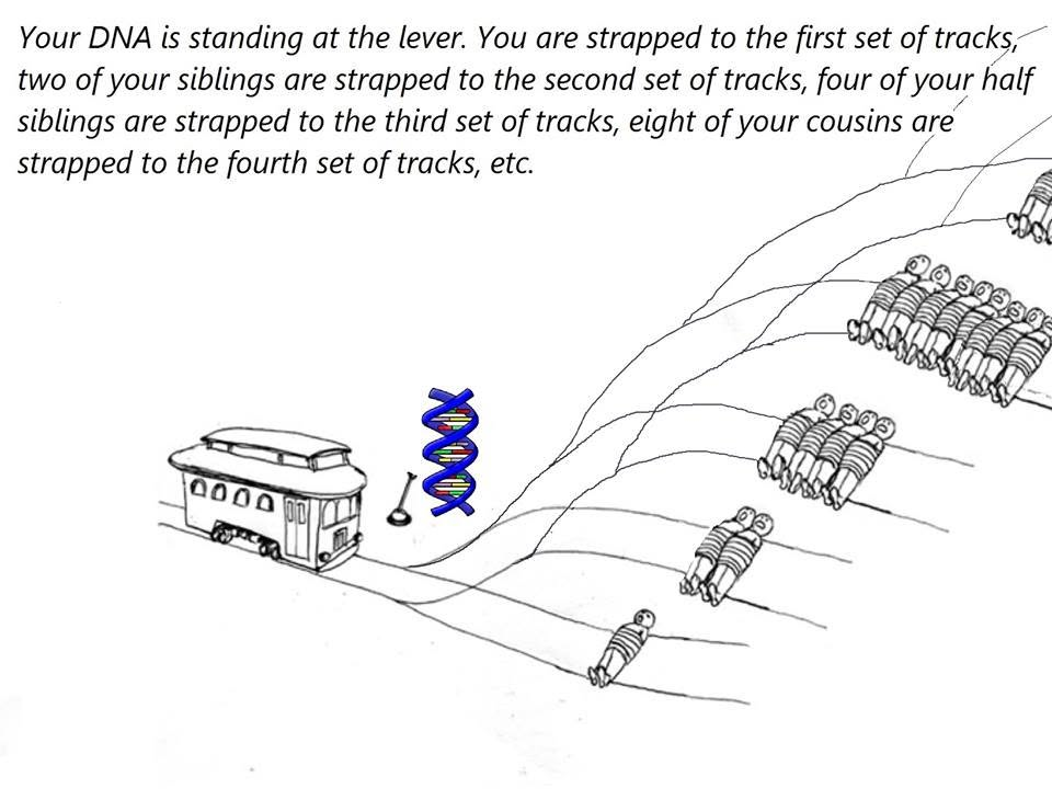 «Эгоистичный ген» Ричарда Докинза: жуткая и удивительная правда о смысле жизни - 8