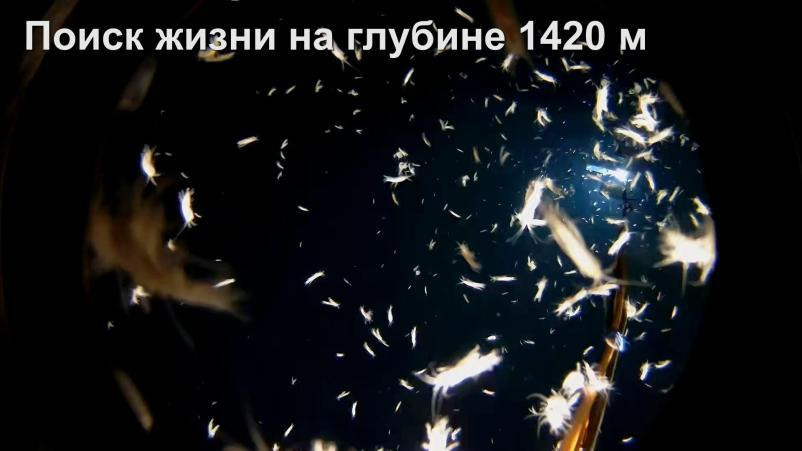 Edge AI: почти всё о видеокамерах с искусственным интеллектом. Часть 2 - 21 Edge AI: почти всё о видеокамерах с искусственным интеллектом. Часть 2 - 21