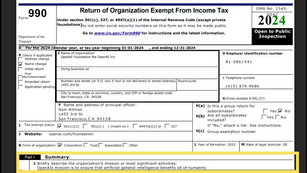 Форма за 2024 год с измененной миссией. Источник изображения