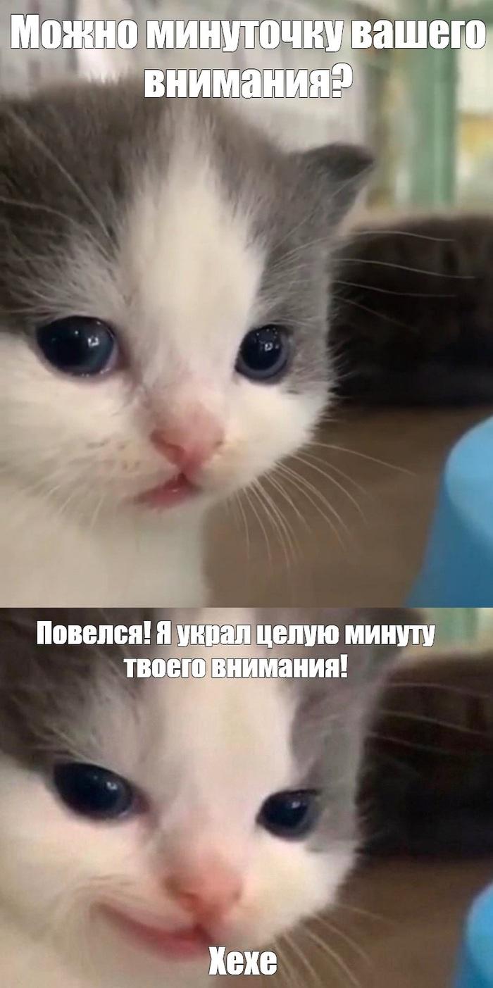 Внимание как новый «bottleneck»: что происходит с мозгом в эпоху уведомлений и ИИ - 3