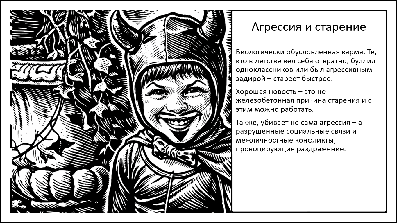 Агрессивное поведение ускоряет старение - 1