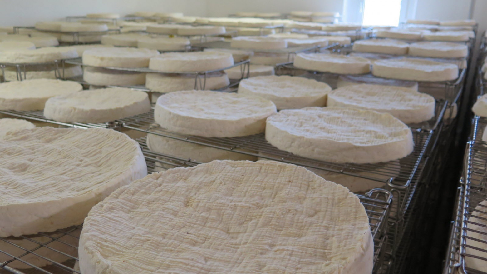 Fromagerie Dongé à Triconville