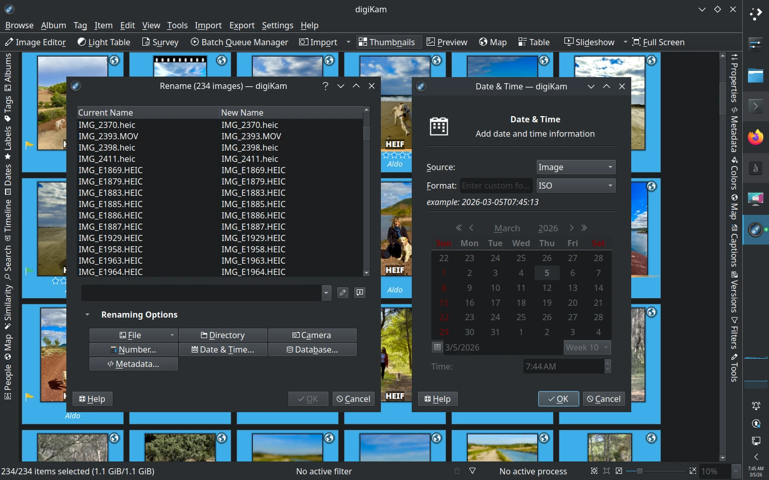 digiKam 9.0.0 New Advanced Rename Date Format