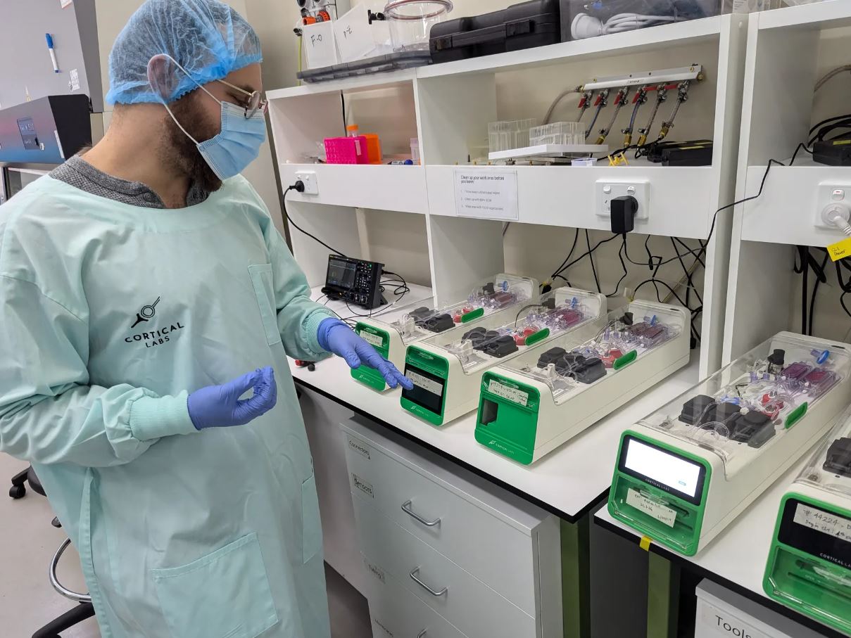 Cortical Labs запустил небольшой ЦОД на человеческих нейронах - 1