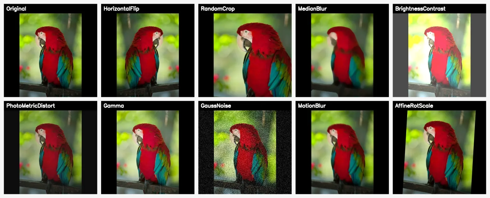 Коллаж аугментаций попугая