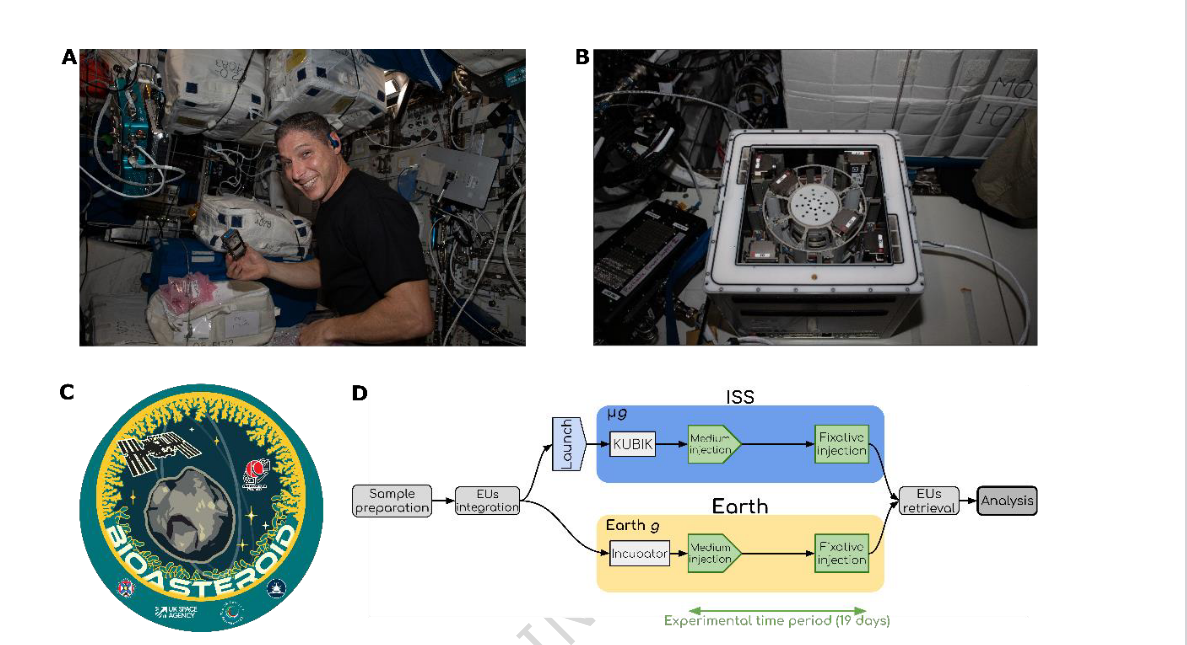Астронавт НАСА Майкл Скотт Хопкинс вставляет контейнеры для экспериментов в KUBIK (слева) и шесть аппаратных блоков, вставленных в KUBIK на борту МКС (справа)