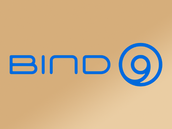 Подведены итоги эксперимента с использованием ИИ для исправления и модернизации кодовой базы DNS-сервера BIND 9 - 1