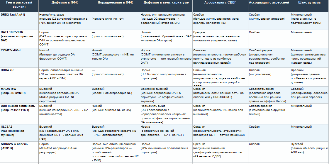 Некоторые возможные варианты генов