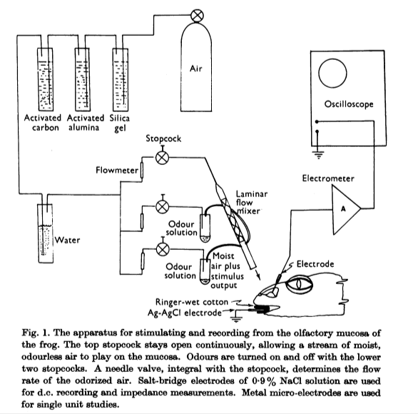 Схема из статьи