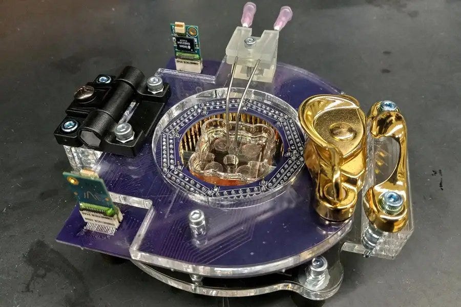 Конвейер деторождения, мозг мыши за штурвалом и другие новости с переднего края биотеха - 2 Конвейер деторождения, мозг мыши за штурвалом и другие новости с переднего края биотеха - 2